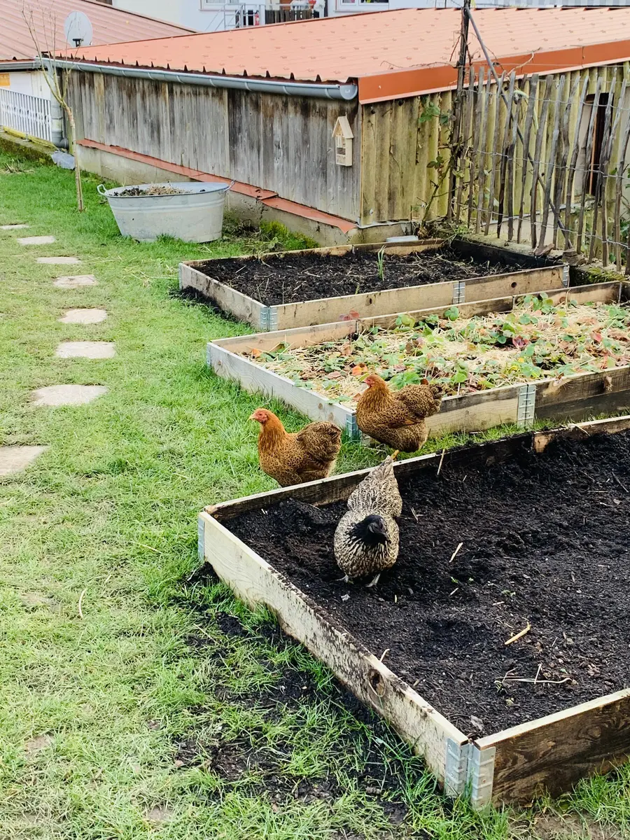 LocationRobot - Film Location Einfamilienhaus LR3794 (photo 23)