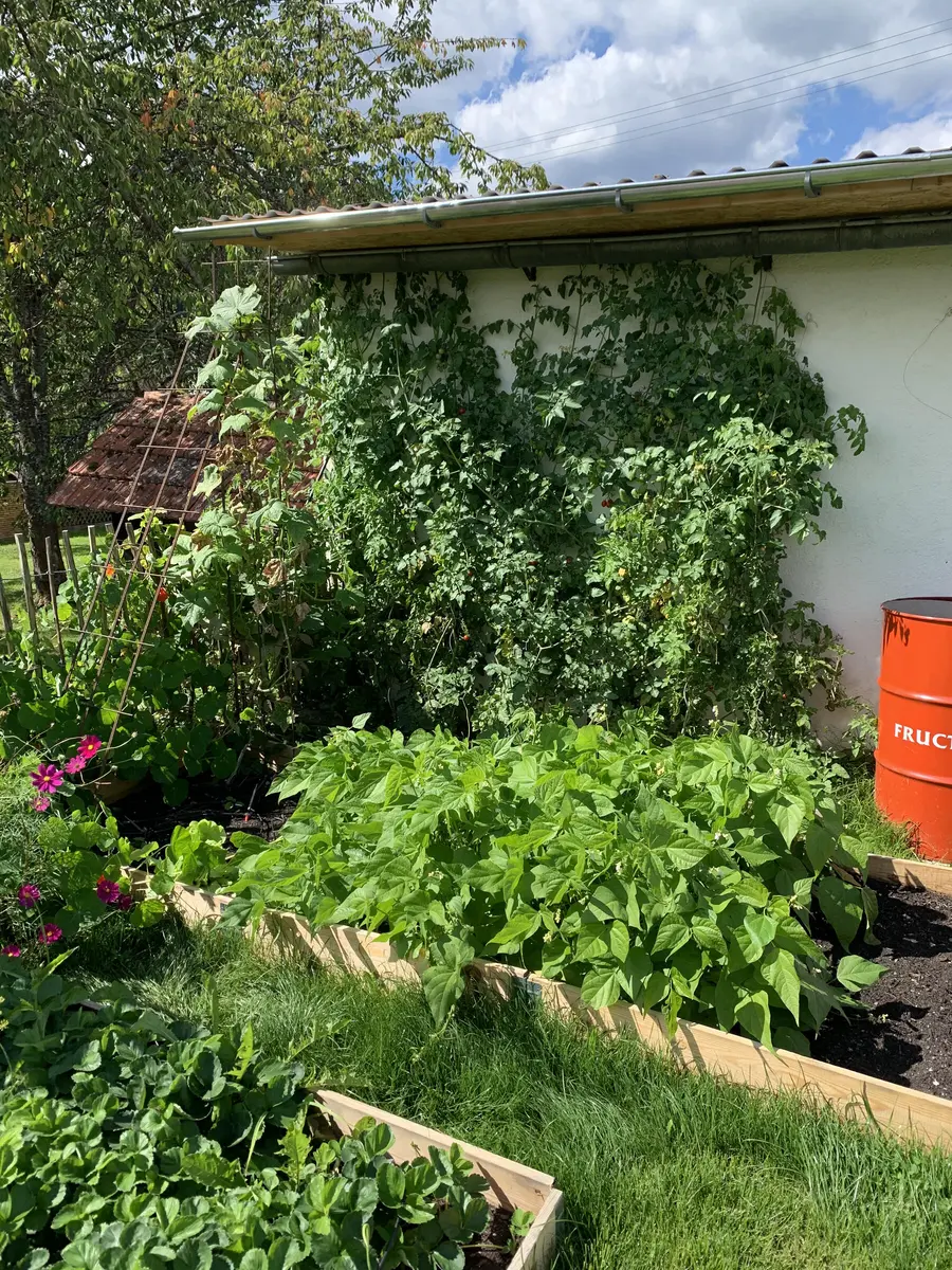 LocationRobot - Film Location Einfamilienhaus LR3794 (photo 25)