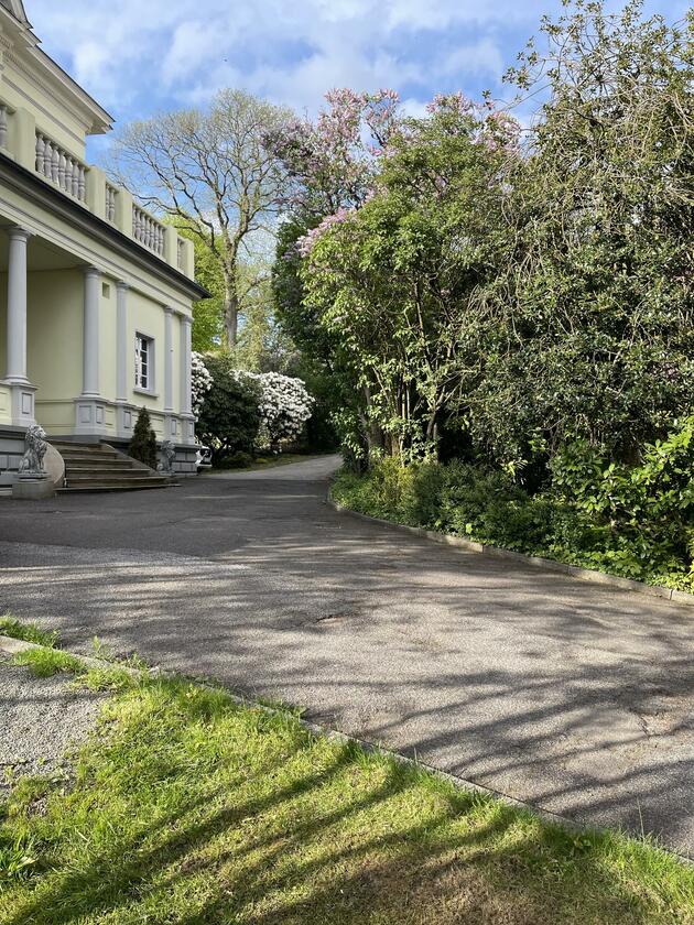 LocationRobot - Film Location Villa LR3826 (photo 7)