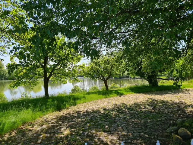 LocationRobot - Film Location Landhaus LR3879 (photo 11)