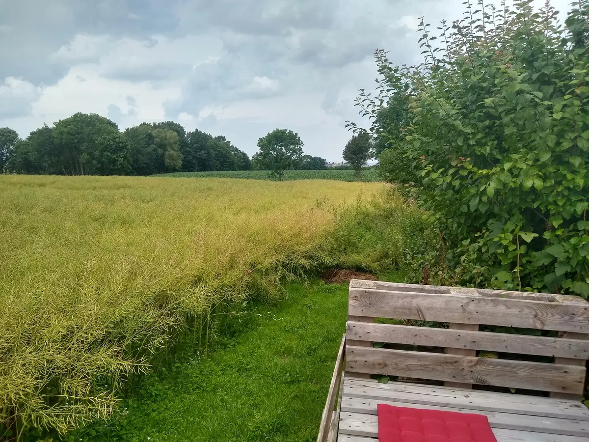 LocationRobot - Film Location Holzhaus LR3882 (photo 14)
