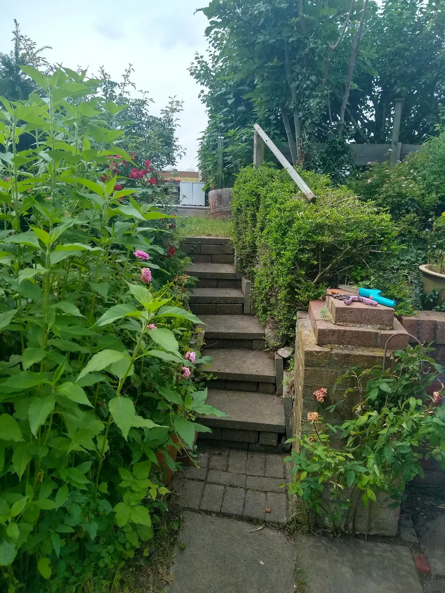LocationRobot - Film Location Holzhaus LR3882 (photo 15)