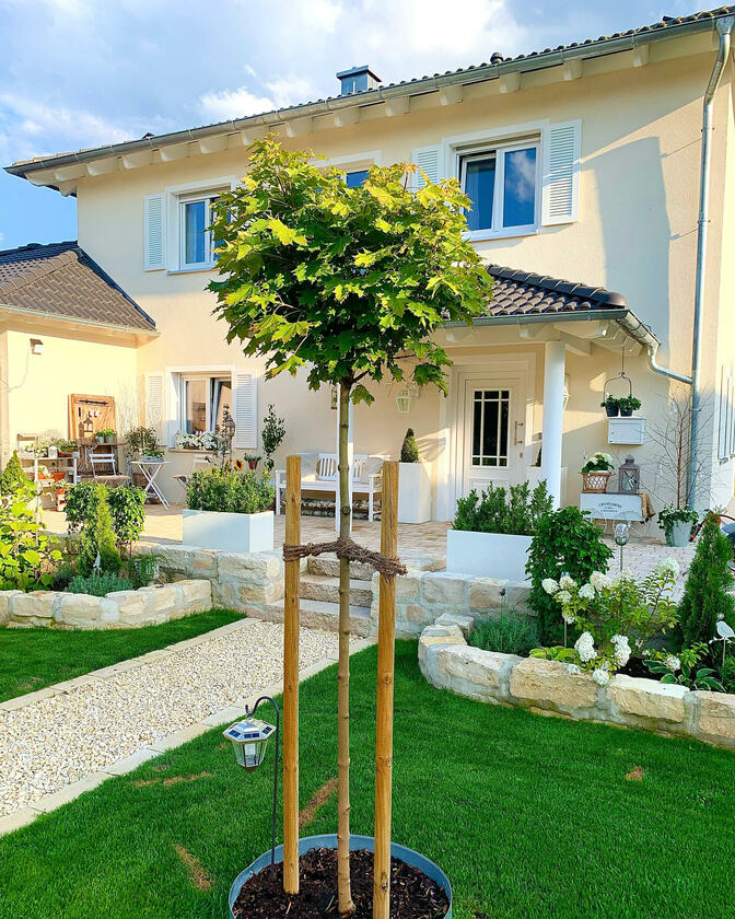 LocationRobot - Film Location Villa LR3884 (photo 2)