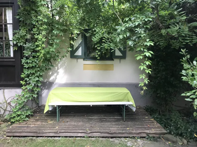 LocationRobot - Film Location Villa LR3979 (photo 29)