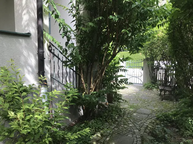 LocationRobot - Film Location Villa LR3979 (photo 32)