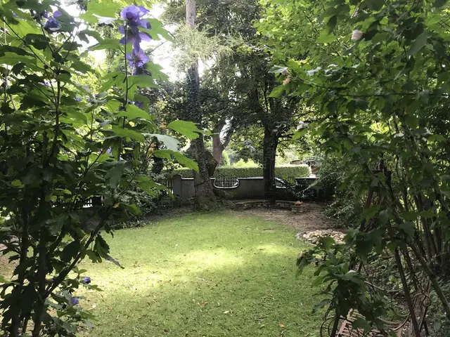 LocationRobot - Film Location Villa LR3979 (photo 30)