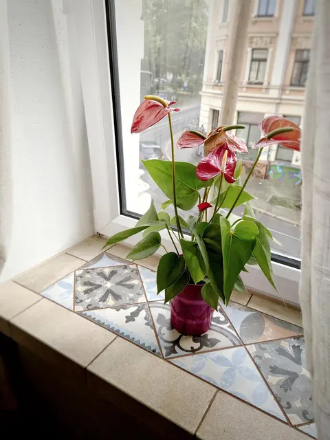 LocationRobot - Film Location Wohnung LR4055 (photo 46)