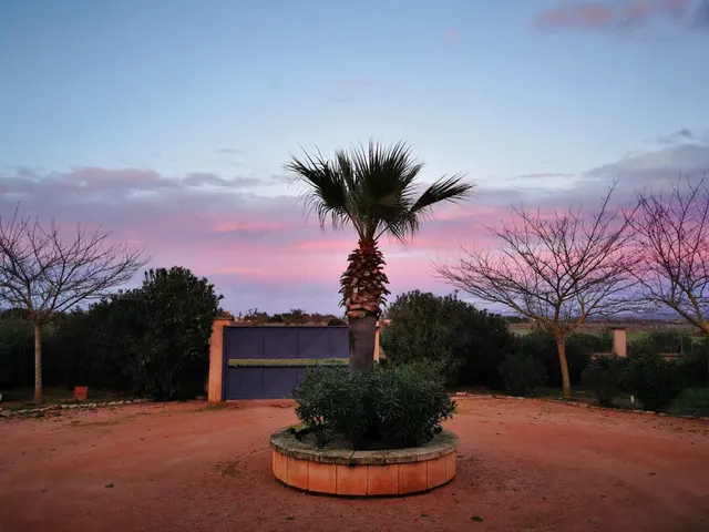 LocationRobot - Film Location Finca LR4063 (photo 23)