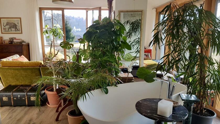 LocationRobot - Film Location Haus LR4103 (photo 3)