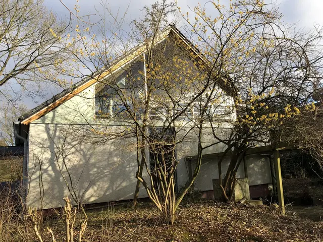 LocationRobot - Film Location Haus LR4117 (photo 46)