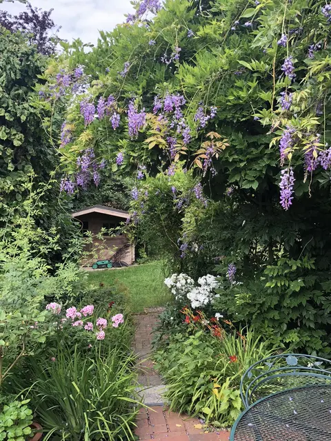 LocationRobot - Film Location Haus LR4117 (photo 41)