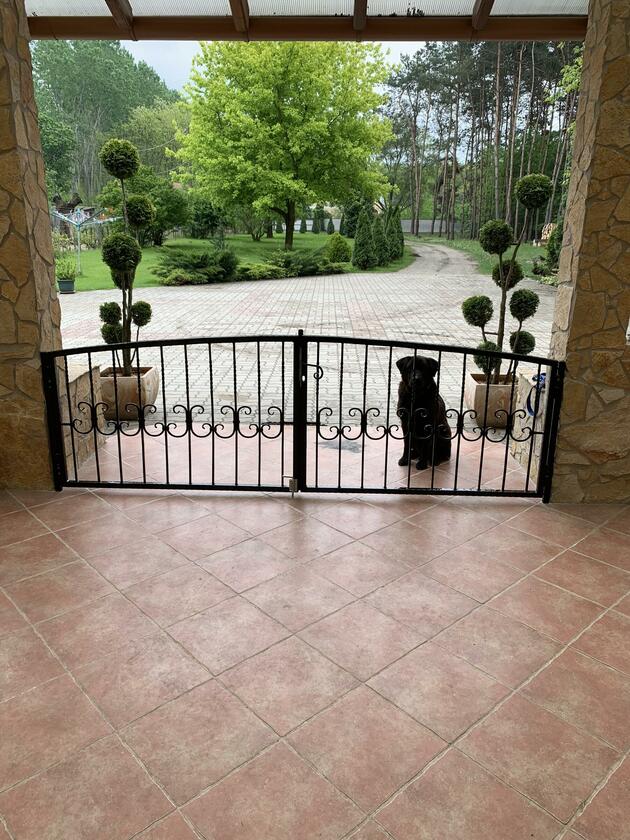 LocationRobot - Film Location Landhaus LR4130 (photo 2)