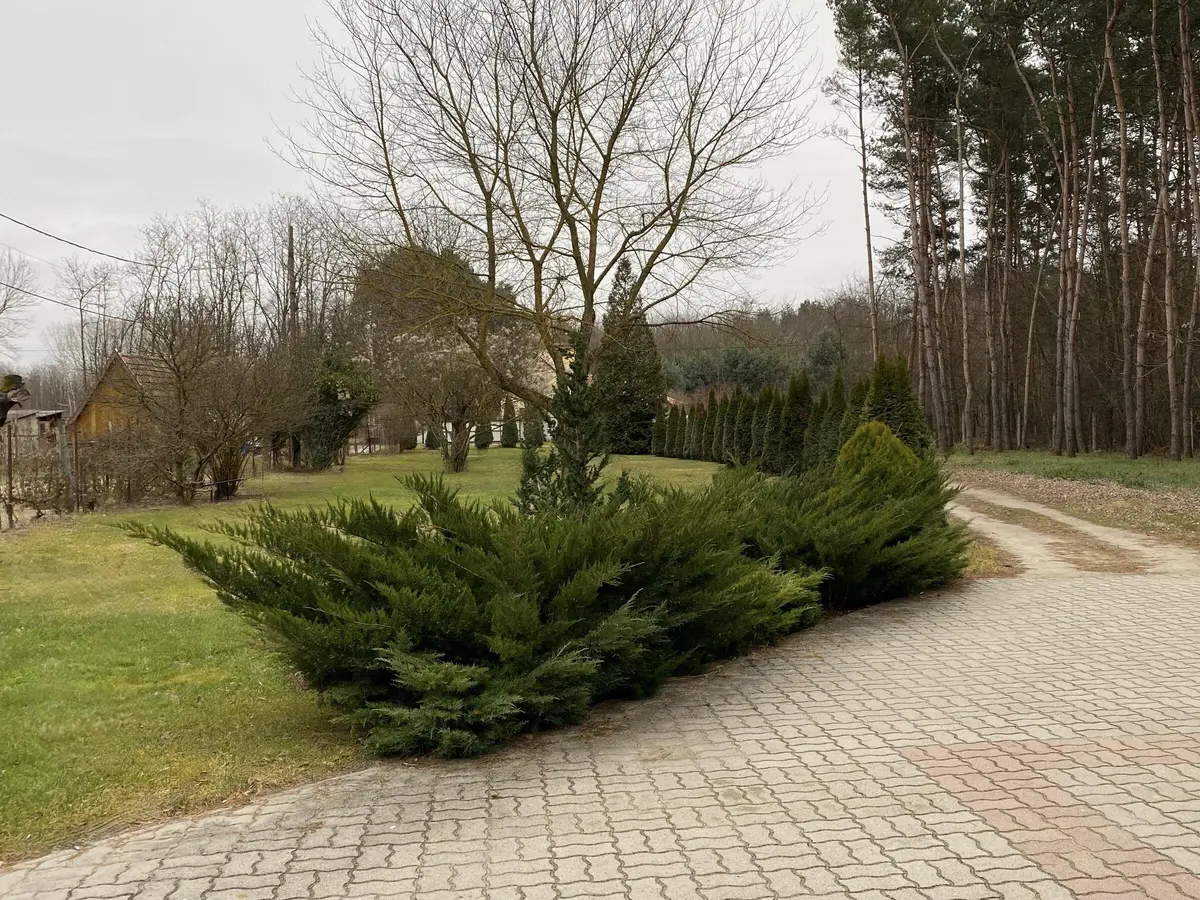 LocationRobot - Film Location Landhaus LR4130 (photo 11)