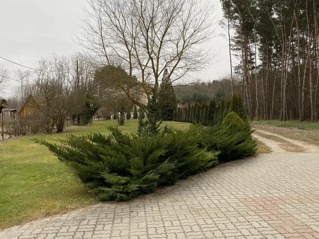 LocationRobot - Film Location Landhaus LR4130 (photo 11)