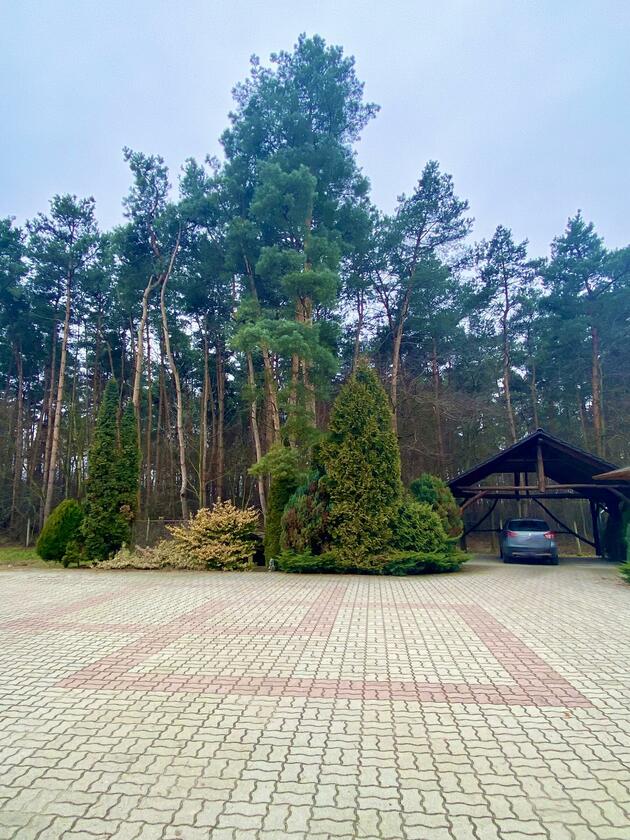 LocationRobot - Film Location Landhaus LR4130 (photo 10)