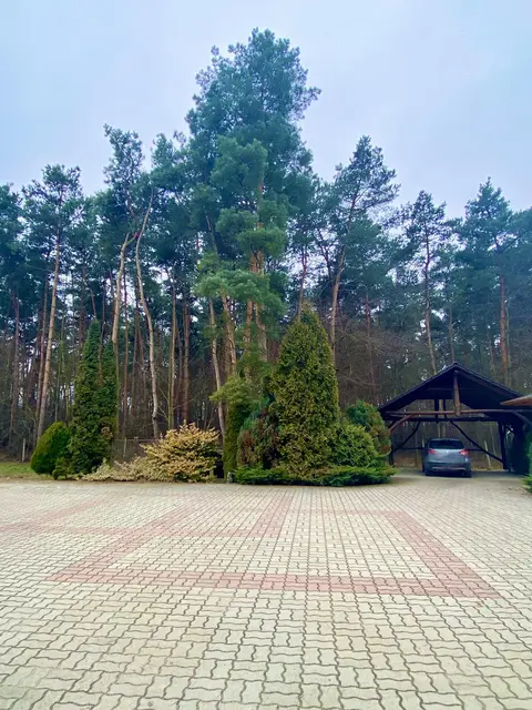 LocationRobot - Film Location Landhaus LR4130 (photo 10)