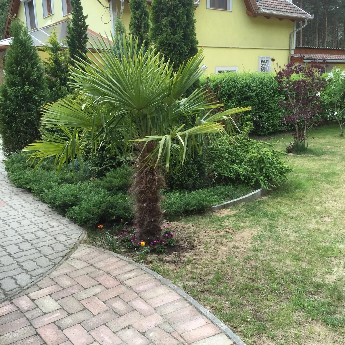 LocationRobot - Film Location Landhaus LR4130 (photo 16)