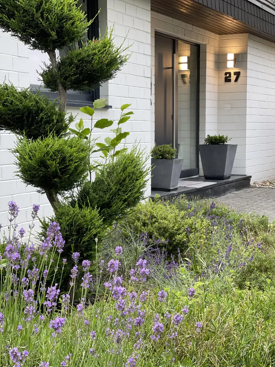 LocationRobot - Film Location Einfamilienhaus LR4172 (photo 24)