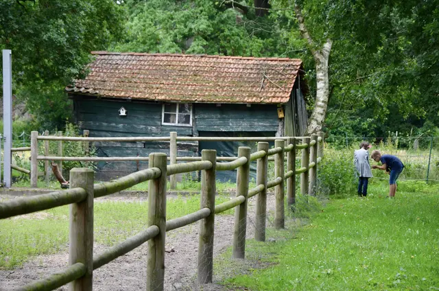 LocationRobot - Film Location Landhaus LR4181 (photo 50)