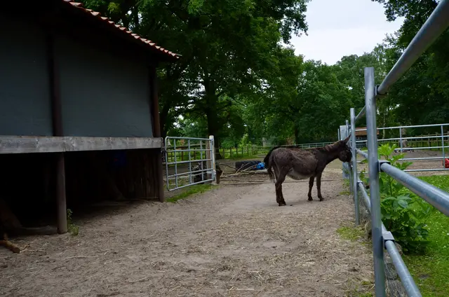 LocationRobot - Film Location Landhaus LR4181 (photo 46)