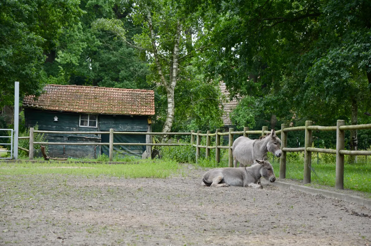 LocationRobot - Film Location Landhaus LR4181 (photo 49)
