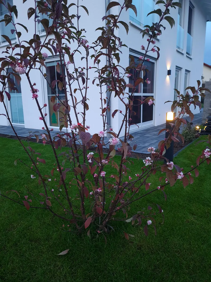 LocationRobot - Film Location Einfamilienhaus LR4204 (photo 41)