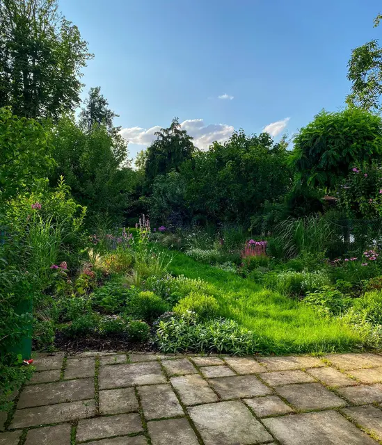 LocationRobot - Film Location Maisonette LR4205 (photo 19)