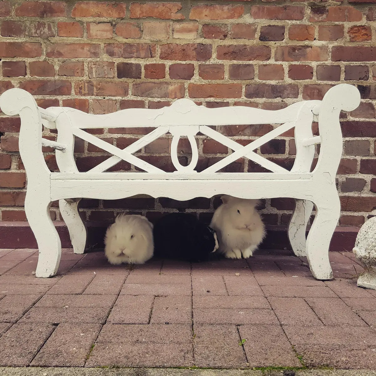 LocationRobot - Film Location Wohnung LR4210 (photo 47)