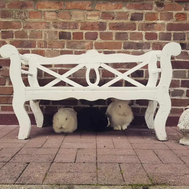 LocationRobot - Film Location Wohnung LR4210 (photo 47)