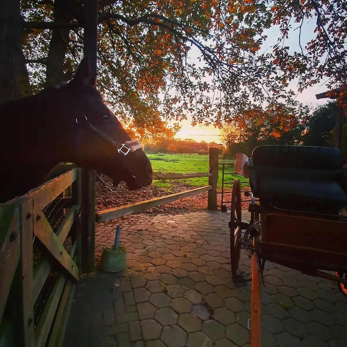 LocationRobot - Film Location Wohnung LR4210 (photo 36)