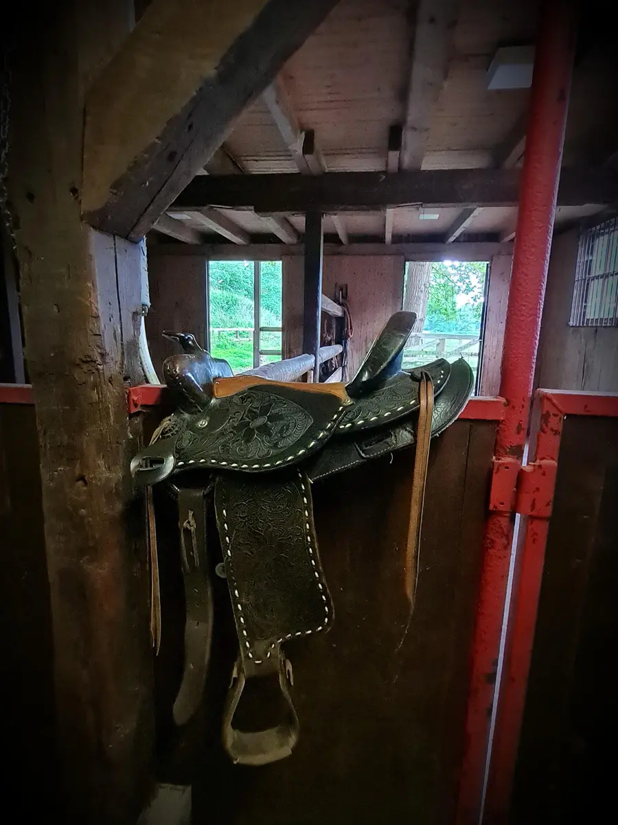 LocationRobot - Film Location Wohnung LR4210 (photo 37)