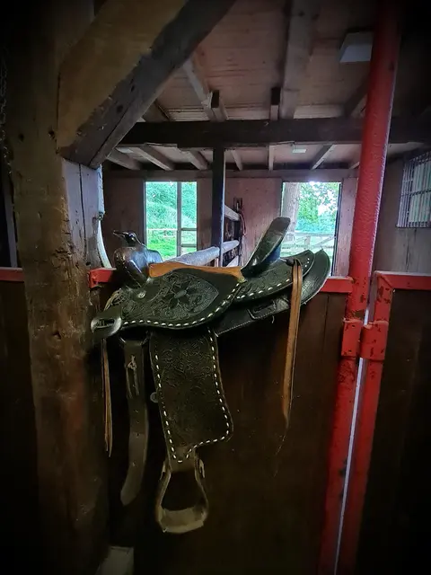 LocationRobot - Film Location Wohnung LR4210 (photo 37)