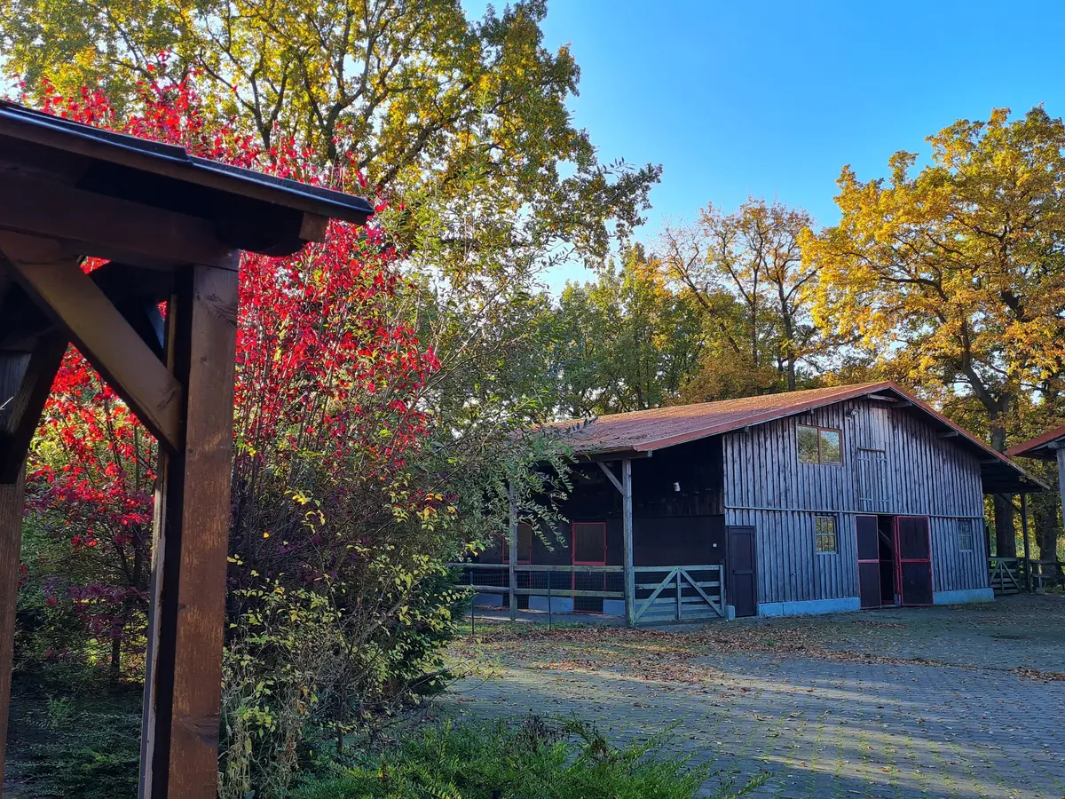 LocationRobot - Film Location Wohnung LR4210 (photo 20)