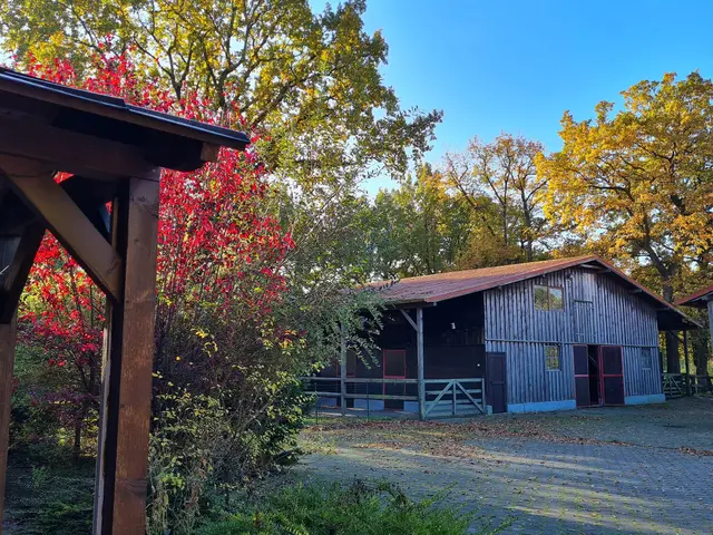 LocationRobot - Film Location Wohnung LR4210 (photo 20)