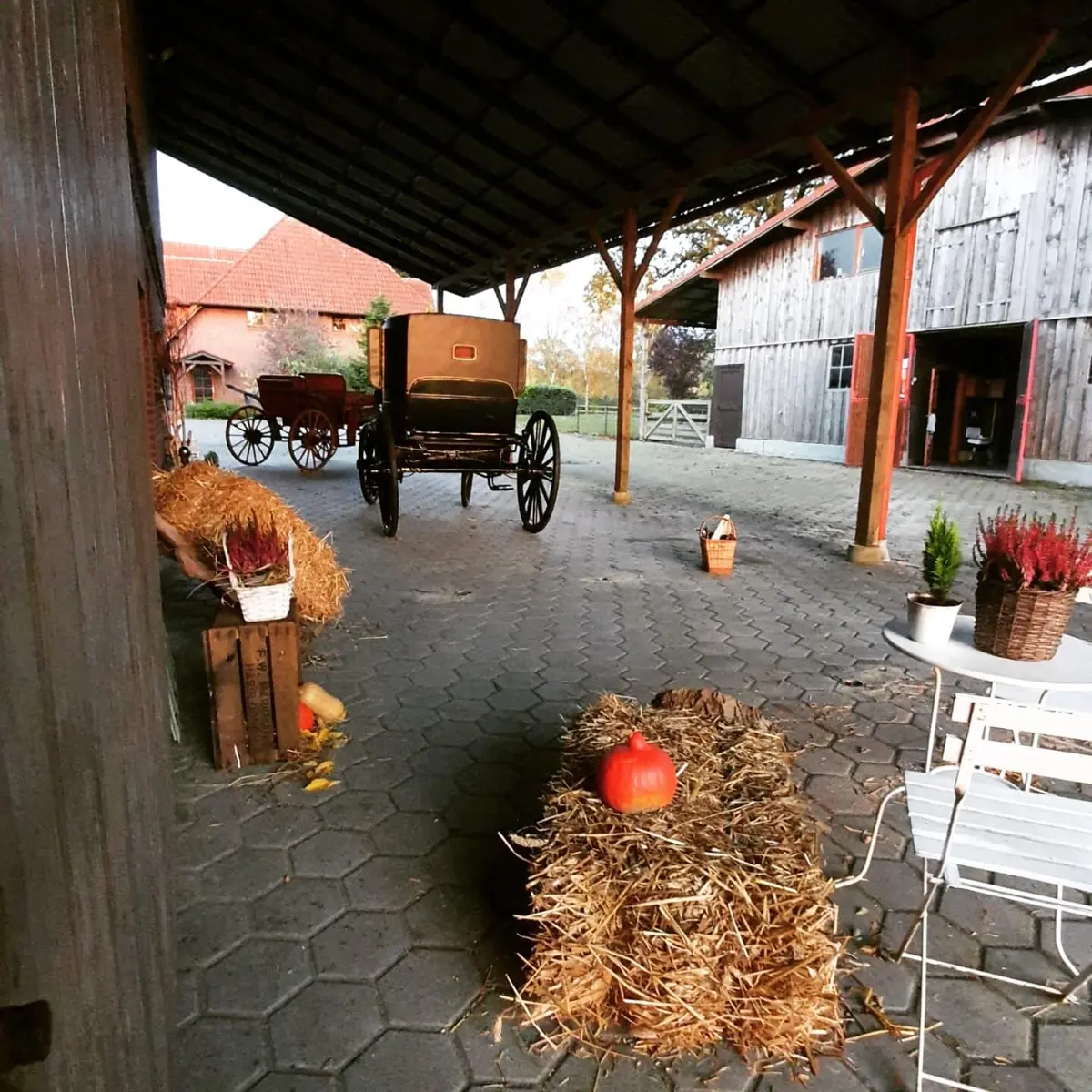 LocationRobot - Film Location Wohnung LR4210 (photo 33)