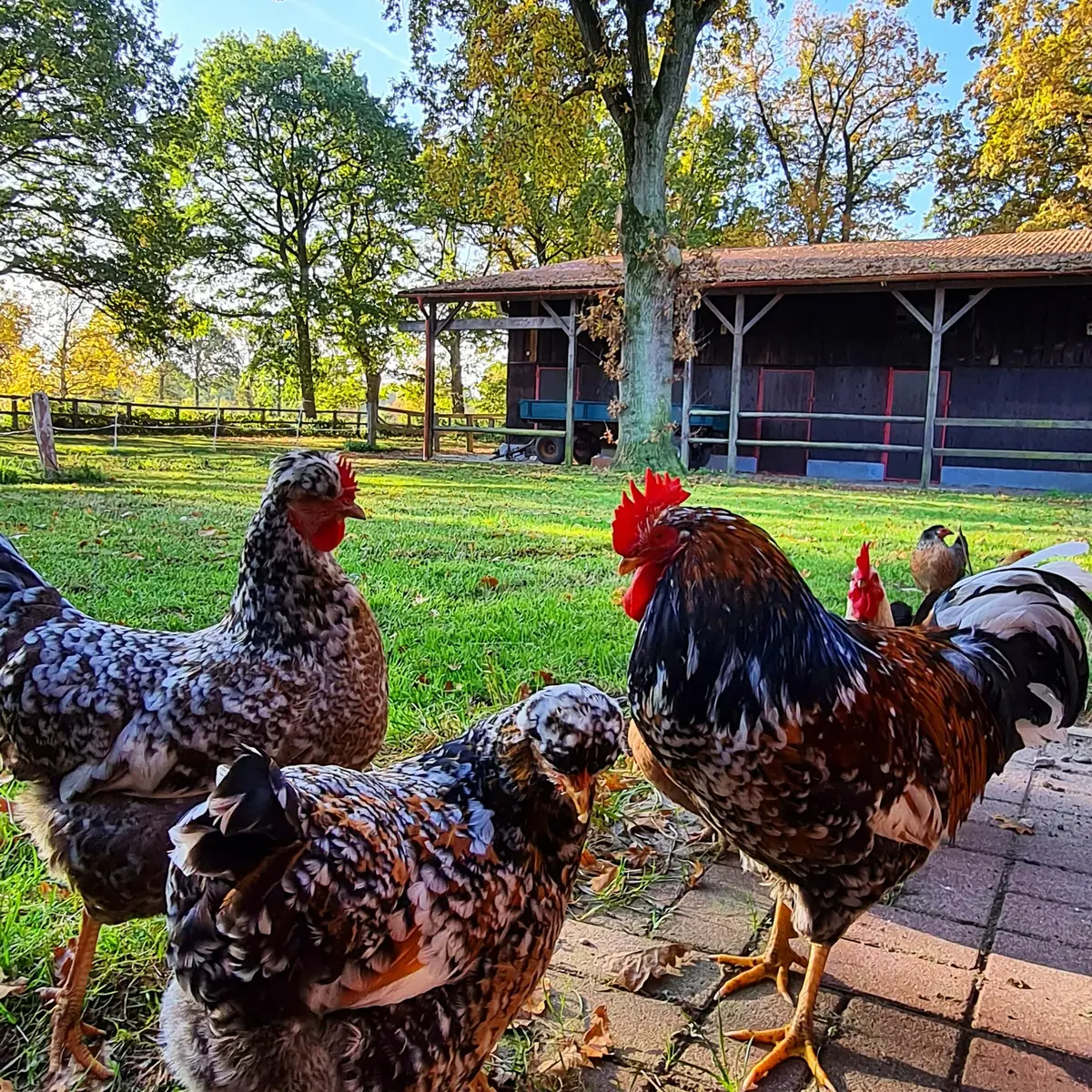 LocationRobot - Film Location Wohnung LR4210 (photo 41)