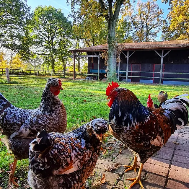 LocationRobot - Film Location Wohnung LR4210 (photo 41)