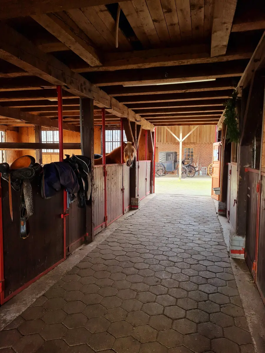 LocationRobot - Film Location Wohnung LR4210 (photo 27)