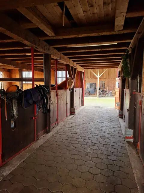 LocationRobot - Film Location Wohnung LR4210 (photo 27)