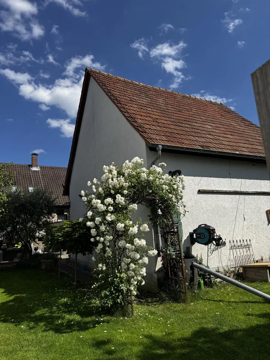 LocationRobot - Film Location Einfamilienhaus LR4249 (photo 68)