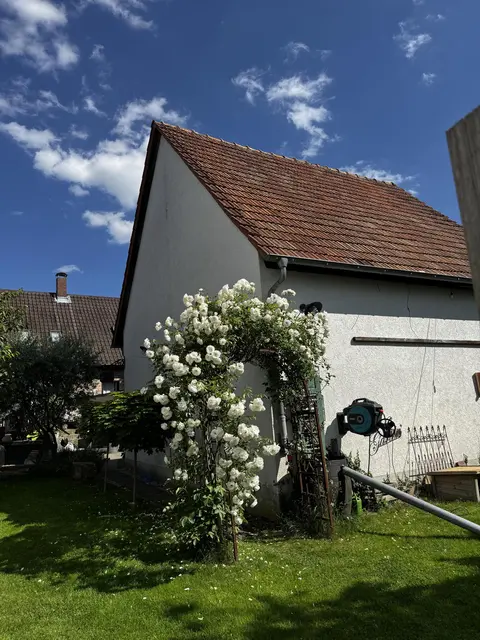 LocationRobot - Film Location Einfamilienhaus LR4249 (photo 68)