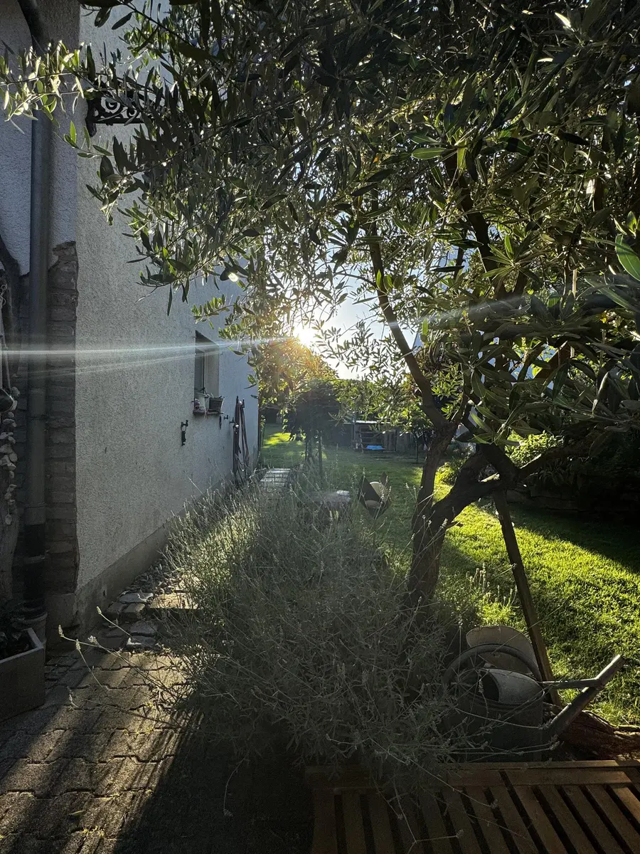 LocationRobot - Film Location Einfamilienhaus LR4249 (photo 65)