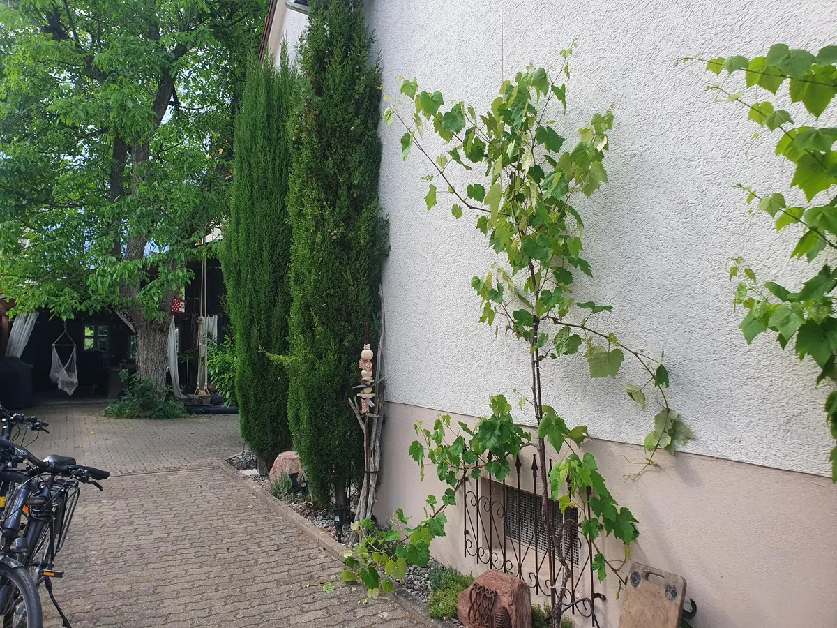 LocationRobot - Film Location Einfamilienhaus LR4249 (photo 2)