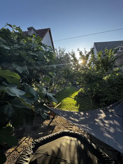 LocationRobot - Film Location Einfamilienhaus LR4249 (photo 63)