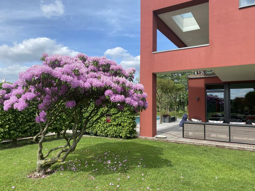 LocationRobot - Film Location Villa LR4311 (photo 4)