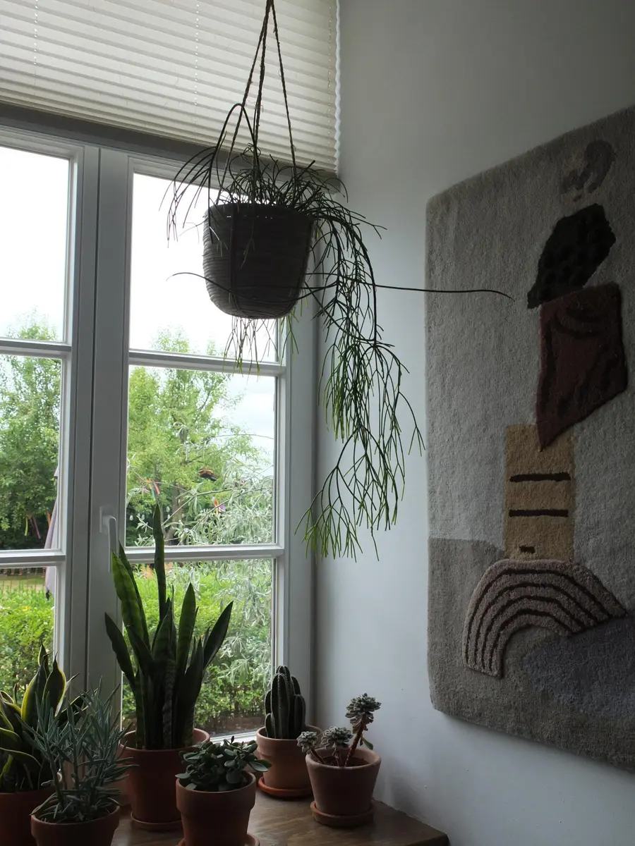 LocationRobot - Film Location Landhaus LR4342 (photo 14)
