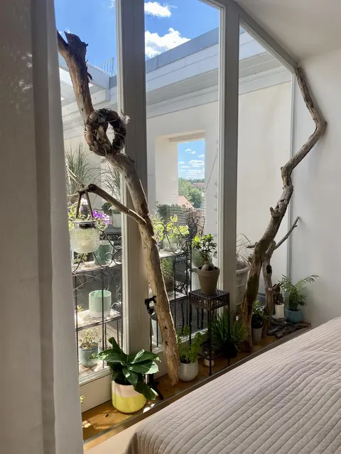 LocationRobot - Film Location Wohnung LR4385 (photo 16)