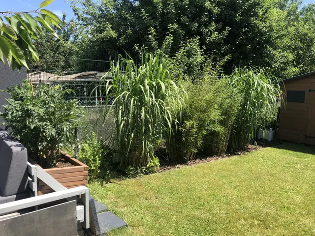 LocationRobot - Film Location Einfamilienhaus LR4391 (photo 41)