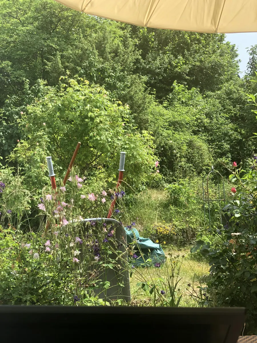 LocationRobot - Film Location Einfamilienhaus LR4435 (photo 29)