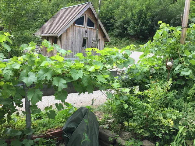 LocationRobot - Film Location Landhaus LR4448 (photo 59)